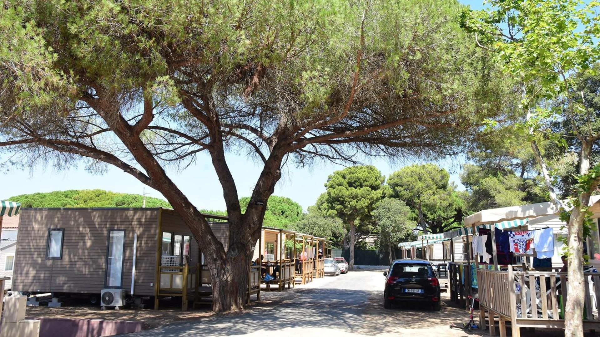 Camping Tikayan Le Mediterranee - Maeva 3*
